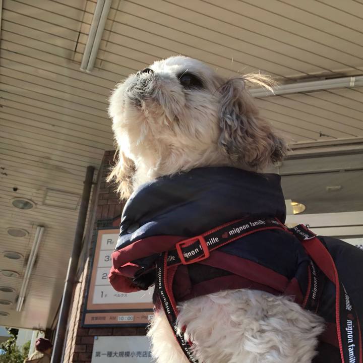 B75c167d b515 4104 8f38 73d995b07493 1547339673759