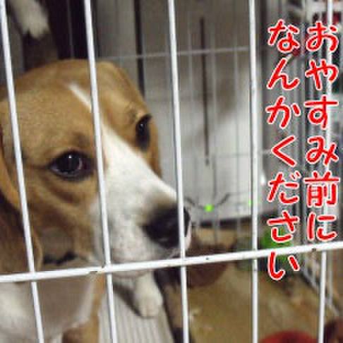 B75c2932 f5dd 4b33 898f 22d34b219b5b 1701216781456