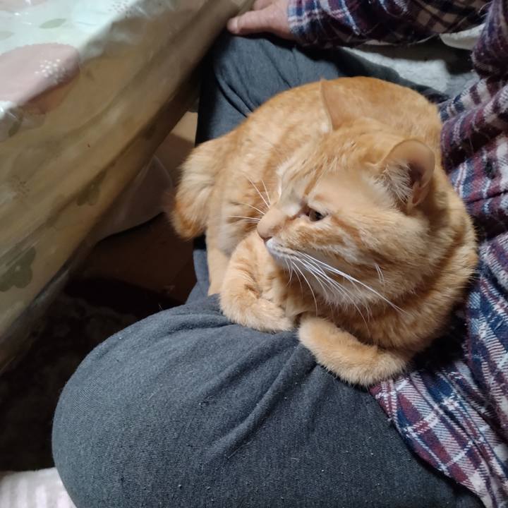 B75c3296 04ed 4639 8f7a ca4964d2c7a9 1680852203913