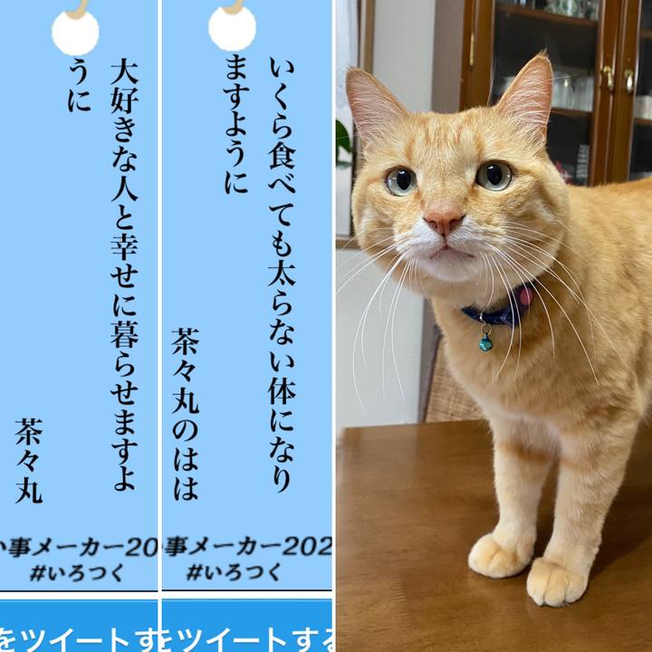 B75c6836 bf20 4290 b913 51f5c59a1466 1625612689383