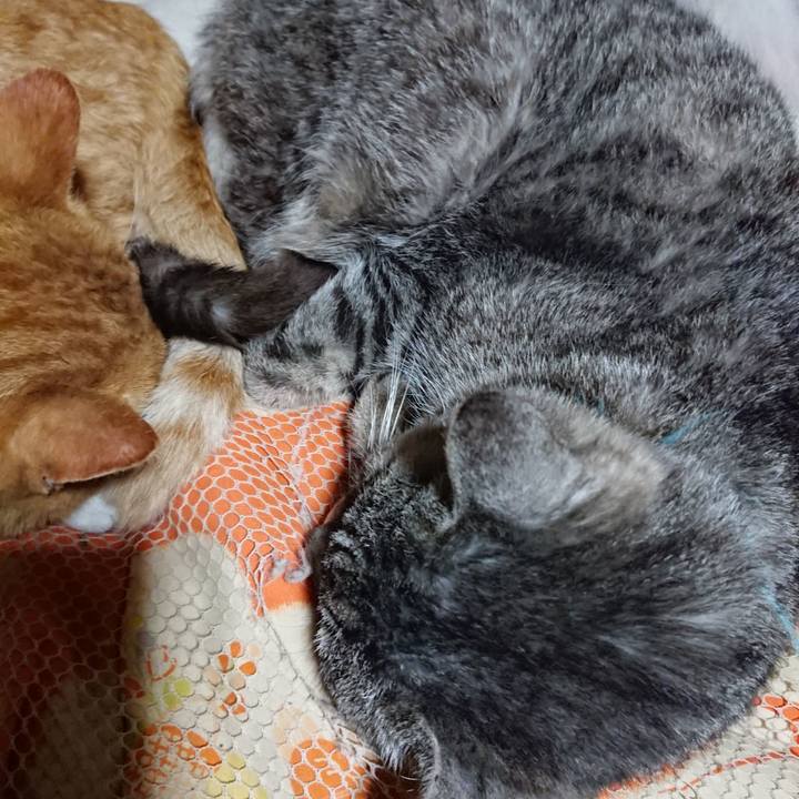 B75ca528 4959 416d 88f8 49fe35603171 1573044417555