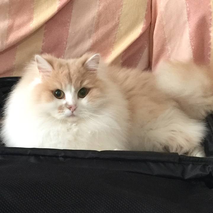 B75cb04a 1aac 4409 9af0 4dedde522bc2 1520222063621