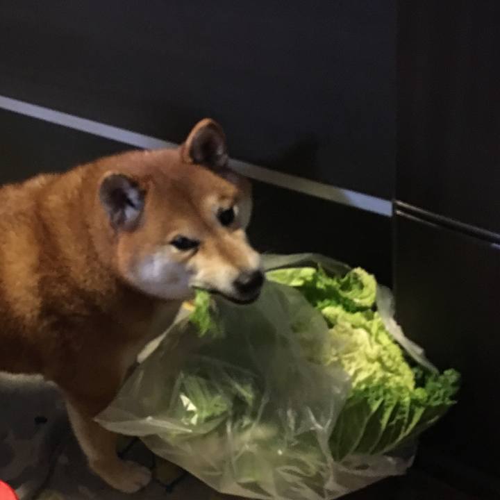 B75cc688 f03b 463f aa99 612870a9beee 1574057001066