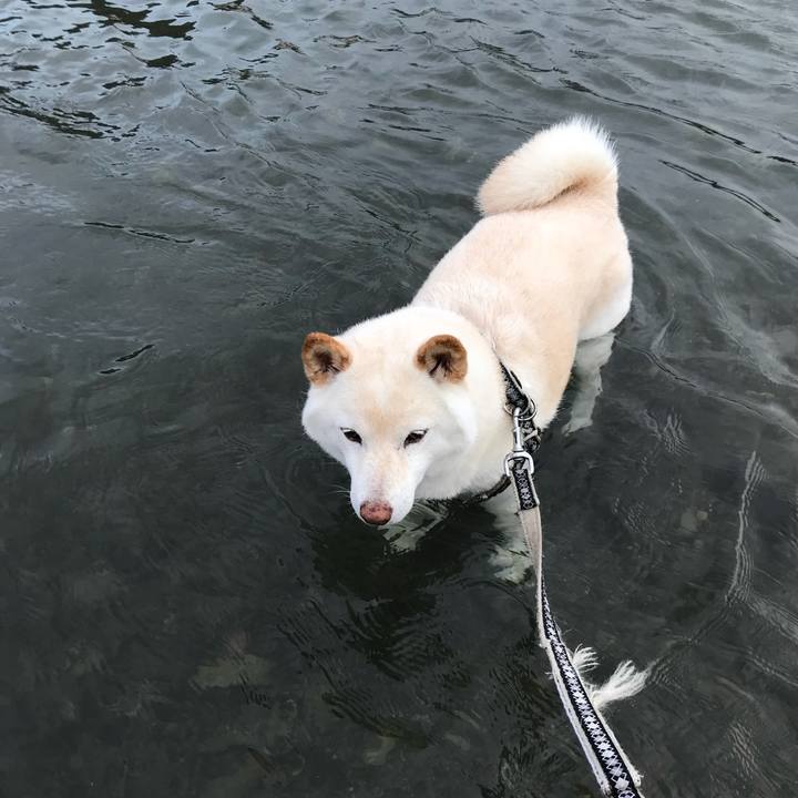 B75cc802 cc4d 4859 abb5 8f946779c1f3 1634702455437