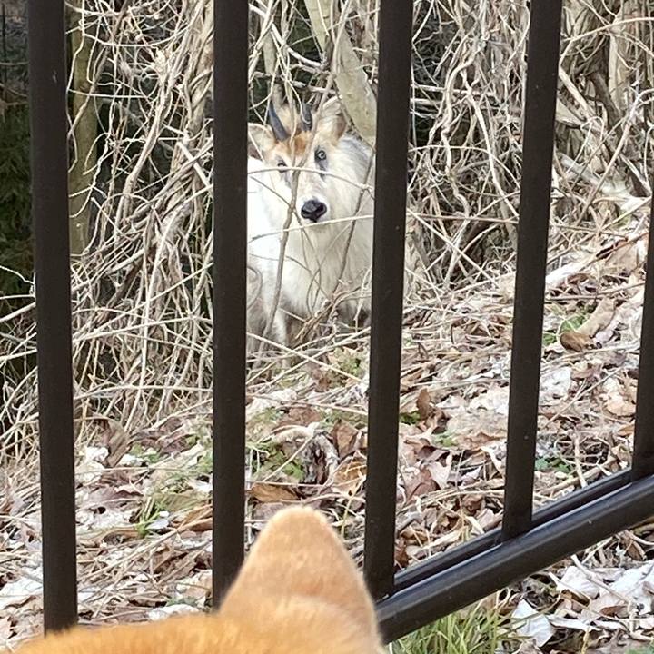 B75d2fe3 c9dd 4216 bf99 df0971bb4f93 1711091084176