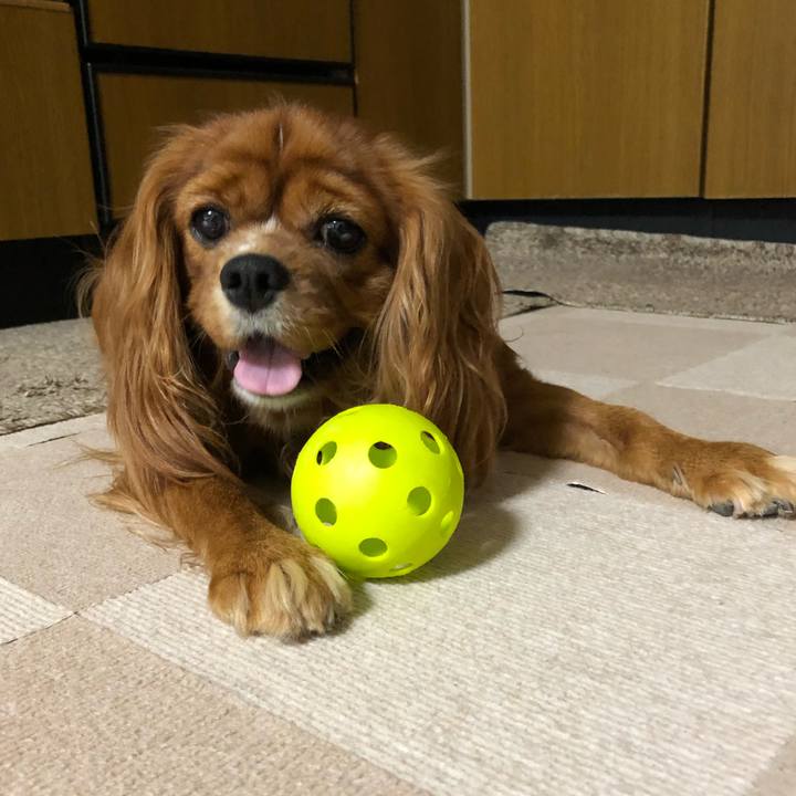 B75d4841 a917 40eb b9c2 cb45fc5bab58 1598539228822