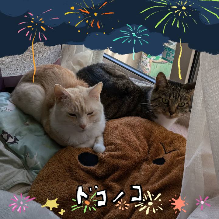 B75d48bc adbf 4bee 86b5 4ec4892449c5 1723304612543