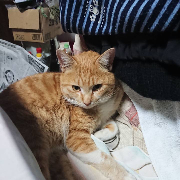 B75d6b25 5c6a 4e86 9830 94249d386808 1582927097204