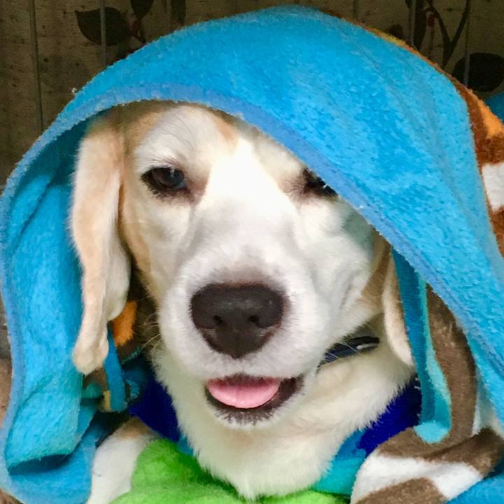 B75d7899 45a9 4d7c 9fa3 cfc2216c9f12 1563162212276