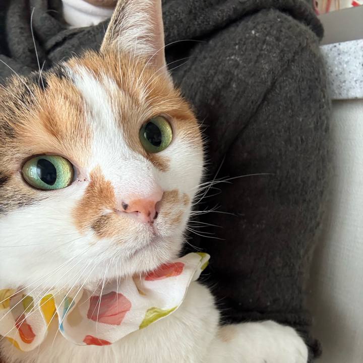 B75db6b9 0ddc 4a97 9864 d96d57559d50 1771302389659