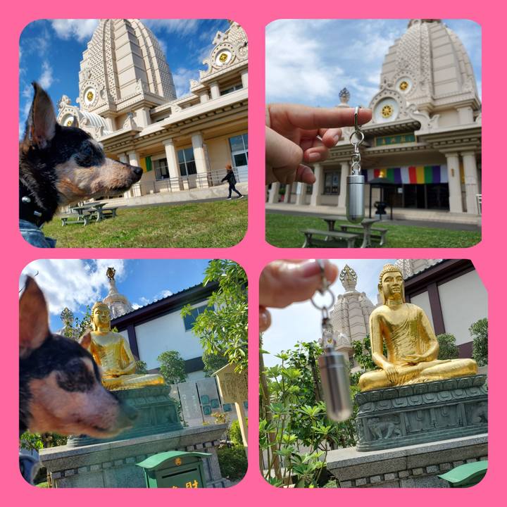 B75db7a2 1df5 47de 9435 5769fd875a74 1721013383668