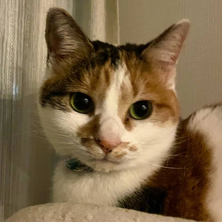 B75dde4d ed98 44bd a933 f9375a331719 1706711881739