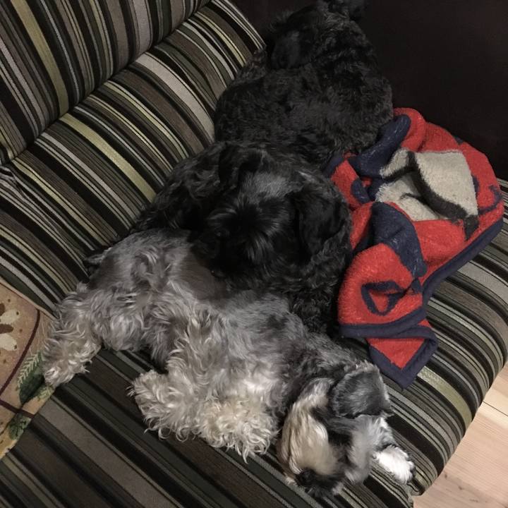 B75df5cc 1a0f 43f3 b245 c4a646413d6e 1510664412605