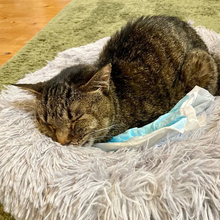 B75e010e 9691 4697 9cd6 bdaf3110d140 1687502978471