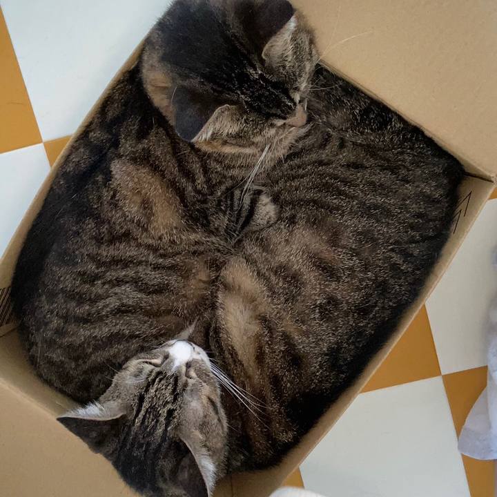 B75e2503 63ec 4879 98d9 7da7ba8ebad3 1691478432499