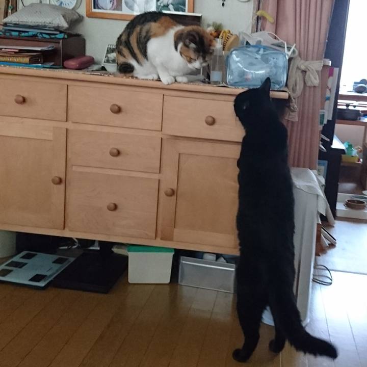 B75e2a0a ae7f 40af 80c2 44ab017dd933 1535020740795