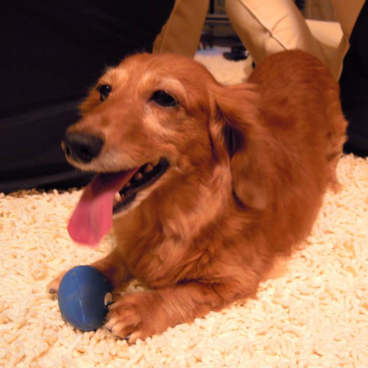 B75e3c67 92c9 4dcc a33d 5f406c5720b1 1559841619537