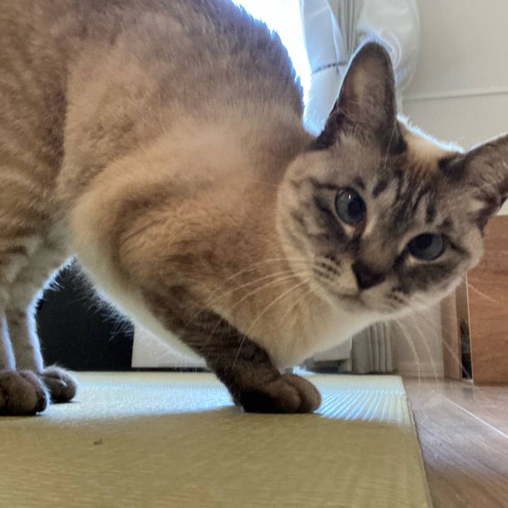 B75e4932 9a30 47b5 919d c0b373e9564b 1645855706973