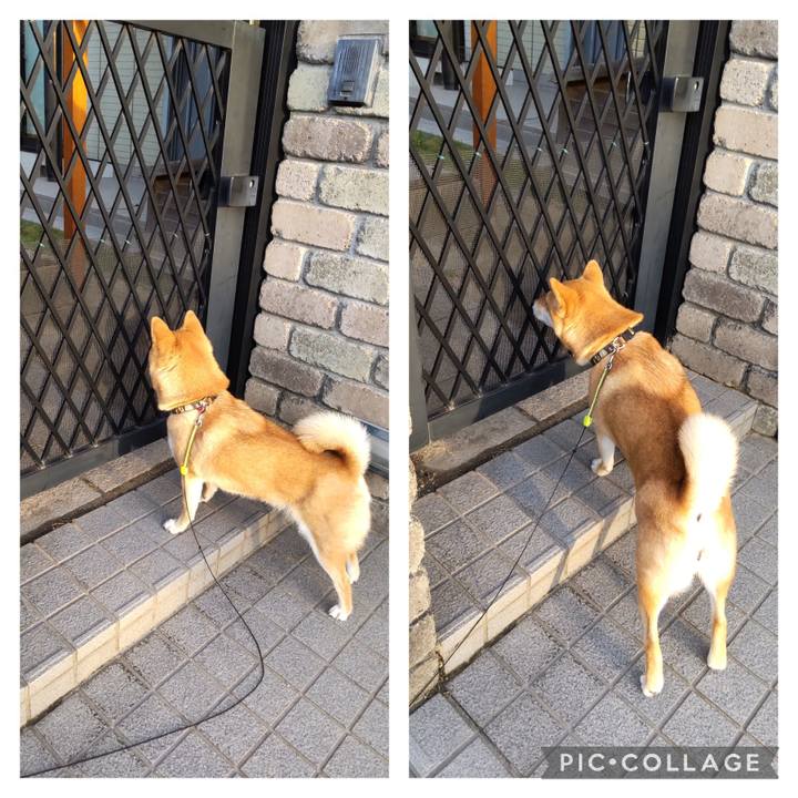 B75e5478 87bc 4ae9 8b20 56aa0b7c8ca2 1683584838175