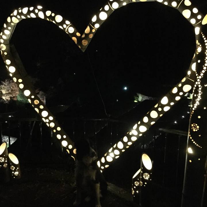 B75e8798 975d 482f be2f 5b510ee7e147 1542629149512