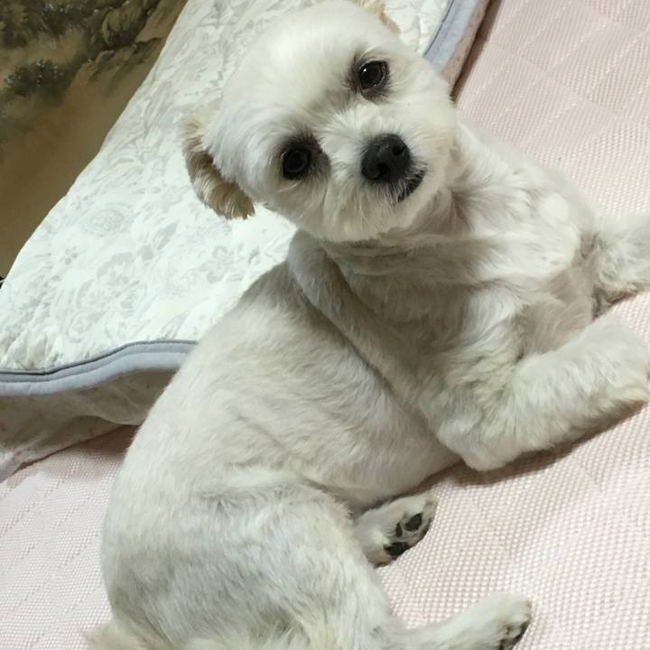 B75ea112 05d6 44d7 b1f5 17079d5ac98c 1564310884266