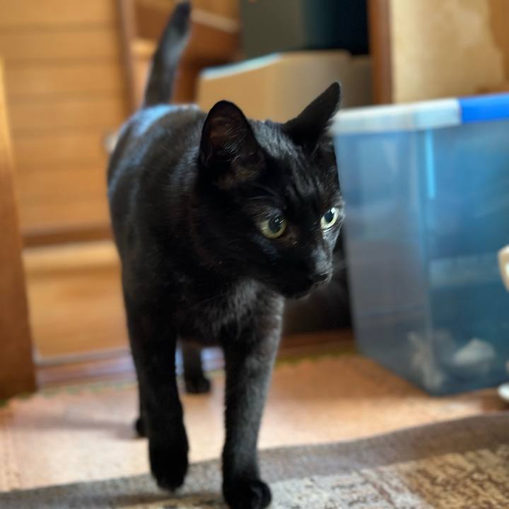 B75eb0ff 7020 4d05 9d6a 926a4e7d3586 1689732639671