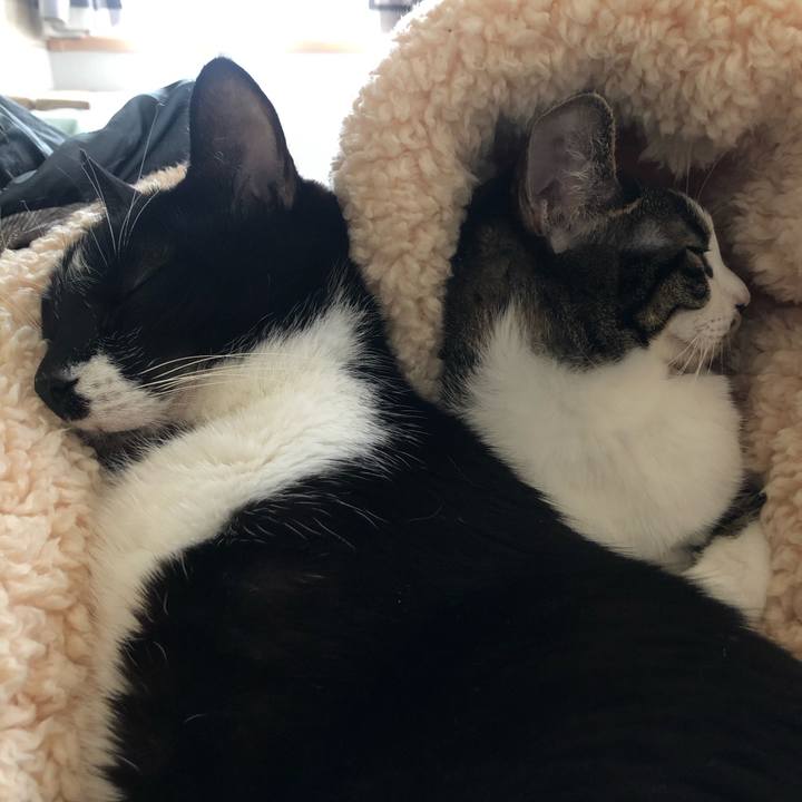 B75f3fb5 8a97 413c a403 74e1f95eb441 1636386318824