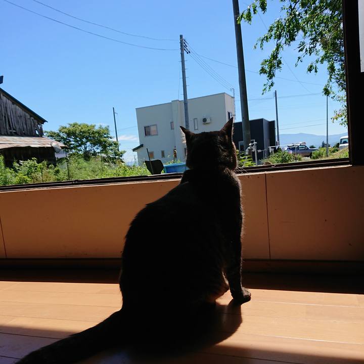 B75f70c4 f9cd 43a0 b23e 93cc0e2fd2fd 1661740496024