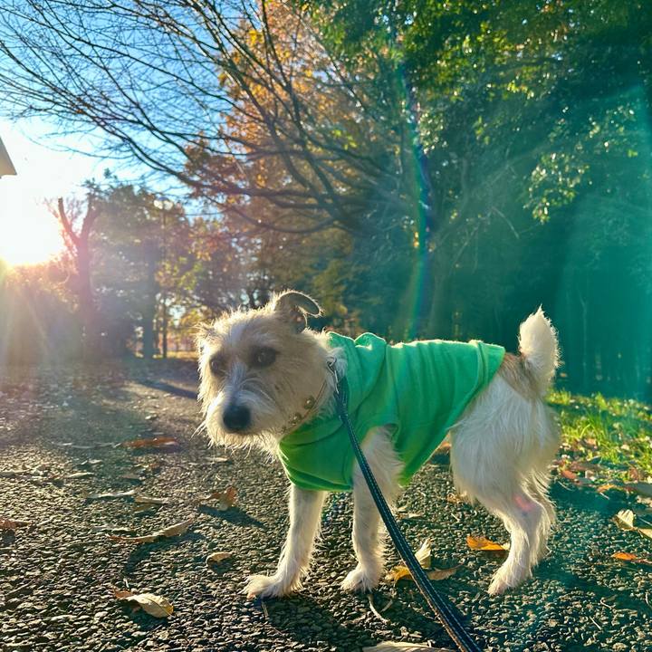 B75f9393 dd8d 4754 a25a db08a87fed91 1733062581937