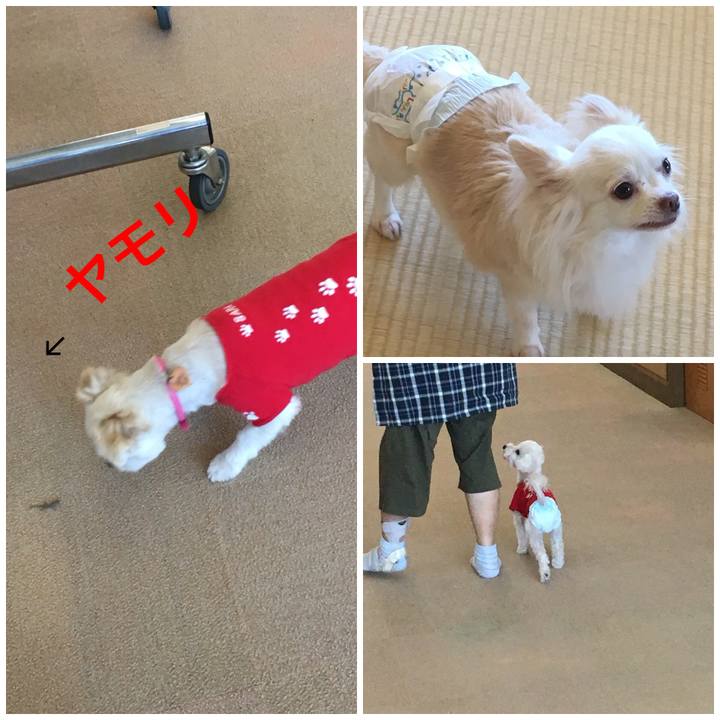 B75fb3fd e241 4f0c 8d5b b73348fbc73f 1538373117004