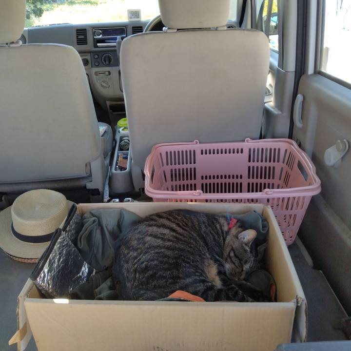 B75fe399 d56d 414f b71e 7a4230e2f96c 1697273992679