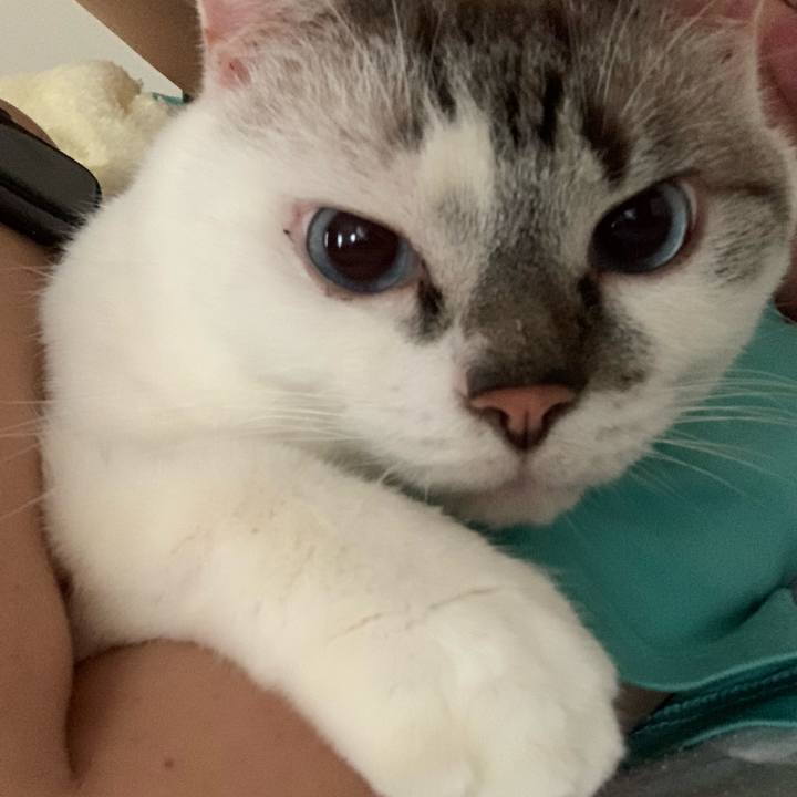 B7600e4b 997c 4f6d 87a9 b45747cfb955 1631744468756