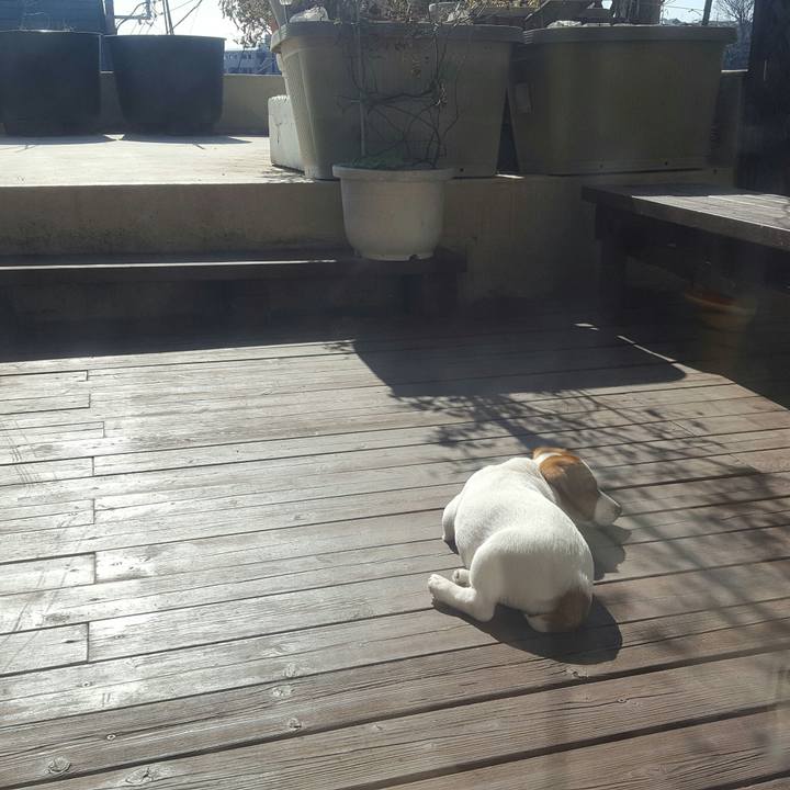 B76014fd dcdf 455e b3a8 c45d6d557d22 1550464048873