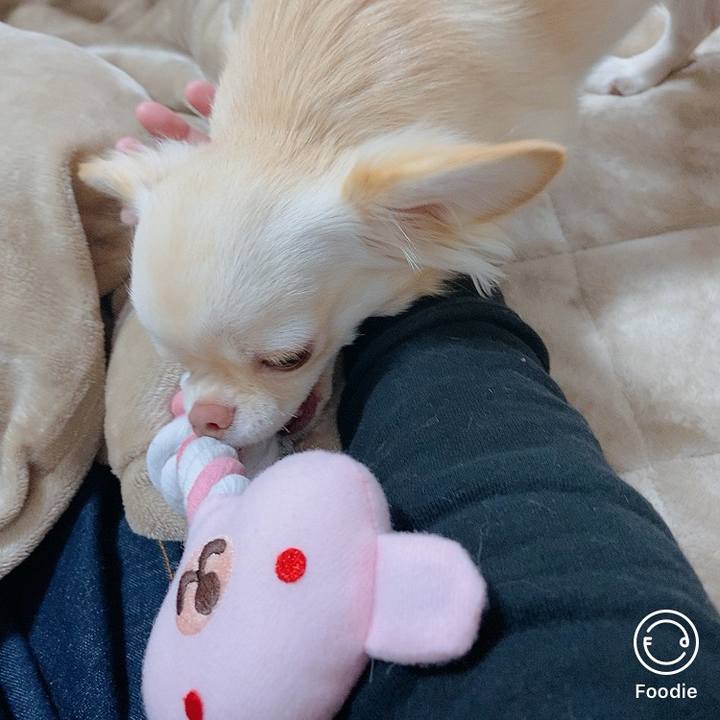 B76051c0 7147 4e50 9c4b cc3ca493f45b 1613446644904