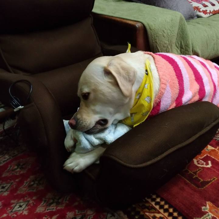 B7605a5a 87ed 4bad be6e 3e28b4539f30 1516151557473