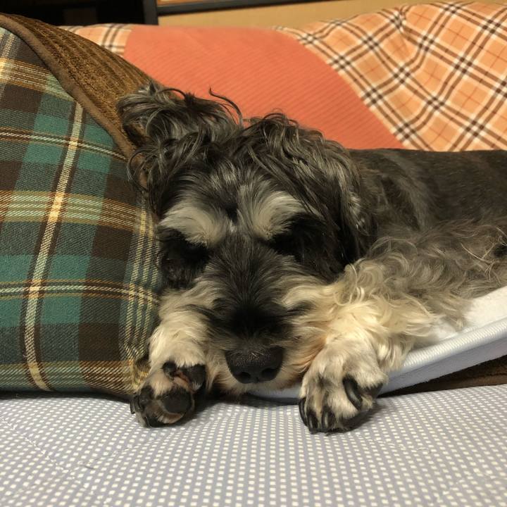 B76062d0 6ec5 4ad2 be25 0137bb74e27f 1632315328831