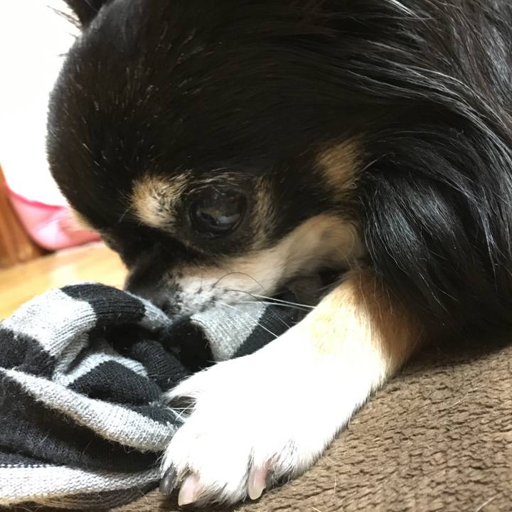 B7606c82 1dfa 4963 9912 f85f35347173 1509711755292