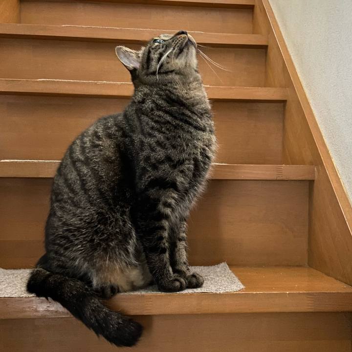 B760dff3 b5fe 4dcb b484 b6df823f4116 1676633315891