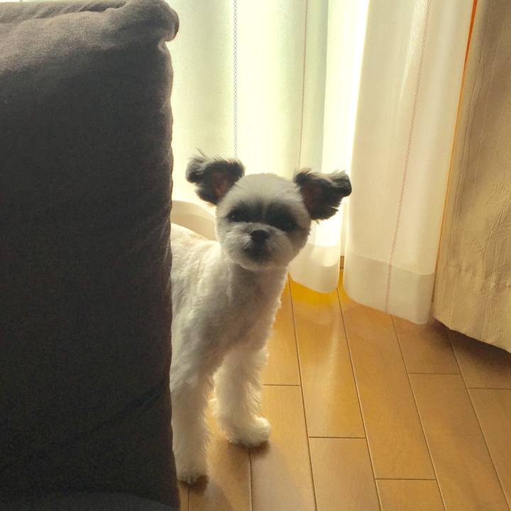 B76117d4 5c58 4f91 82cf d8718841aa6b 1513729776216