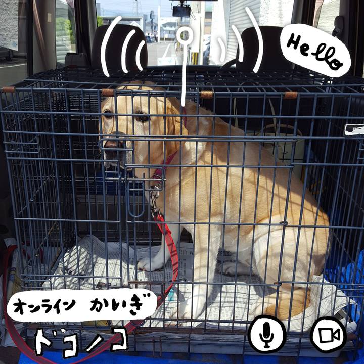 B76118ba 0ab7 4446 b7f1 1182429faaac 1590809413130