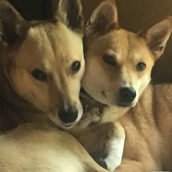 B761560d 1cb7 4ac7 b0e8 e69a179319bf 1527983400653