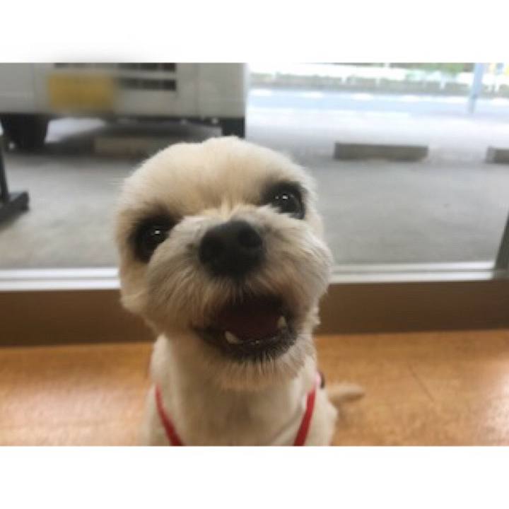 B761af2a 42e8 4d2d bd21 2f844002df4f 1529320734763