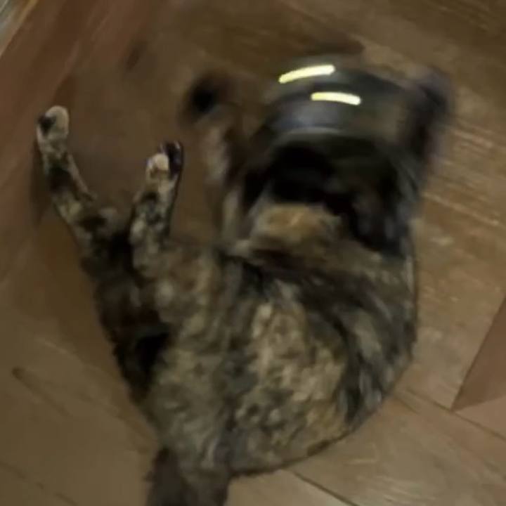 B761d6b2 fc8c 4c63 87ea 47d5561912bd 1738787052691