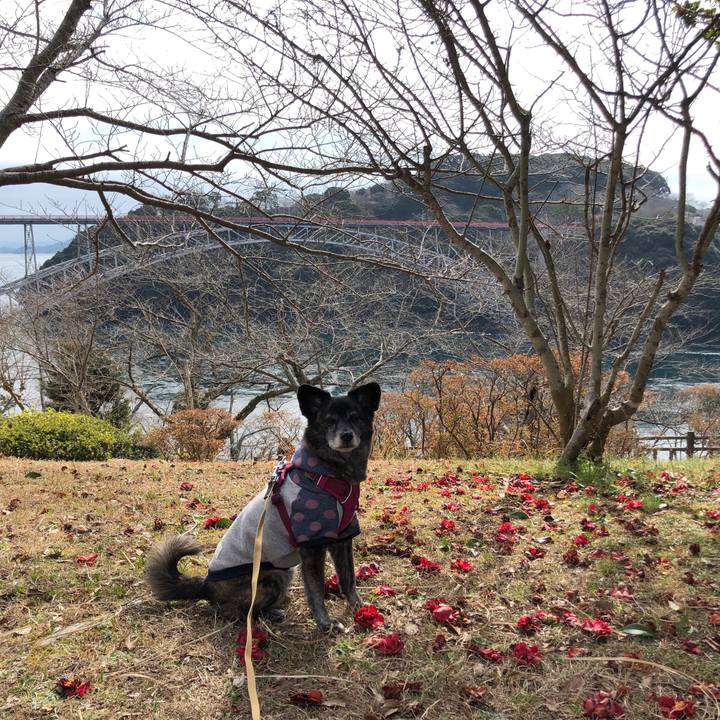 B7623878 003f 4233 aadd 9dc98c464ad7 1644937704193