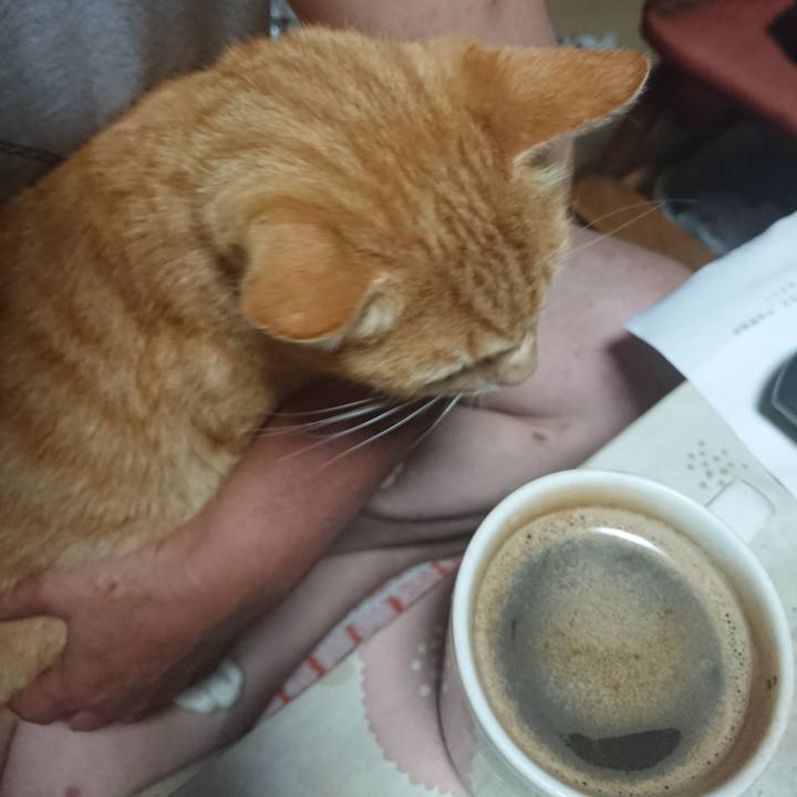 B7625a61 ad73 48da b14f 27ceda0bbff5 1595449777662