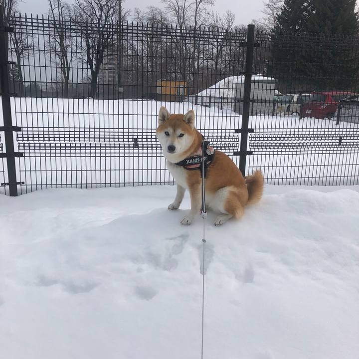 B762aa06 0376 4d53 a5de 97b0a5e2e797 1581639431584