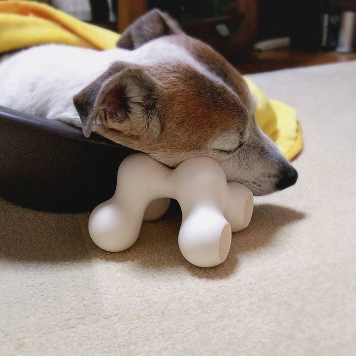 B762d772 adc7 4527 9901 76842e8f7008 1583669535858