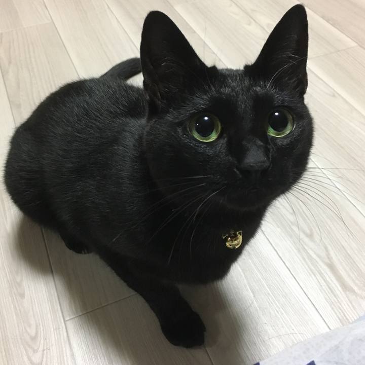 B763465e c2c3 4eaa 8292 119bac4b6916 1507823942885