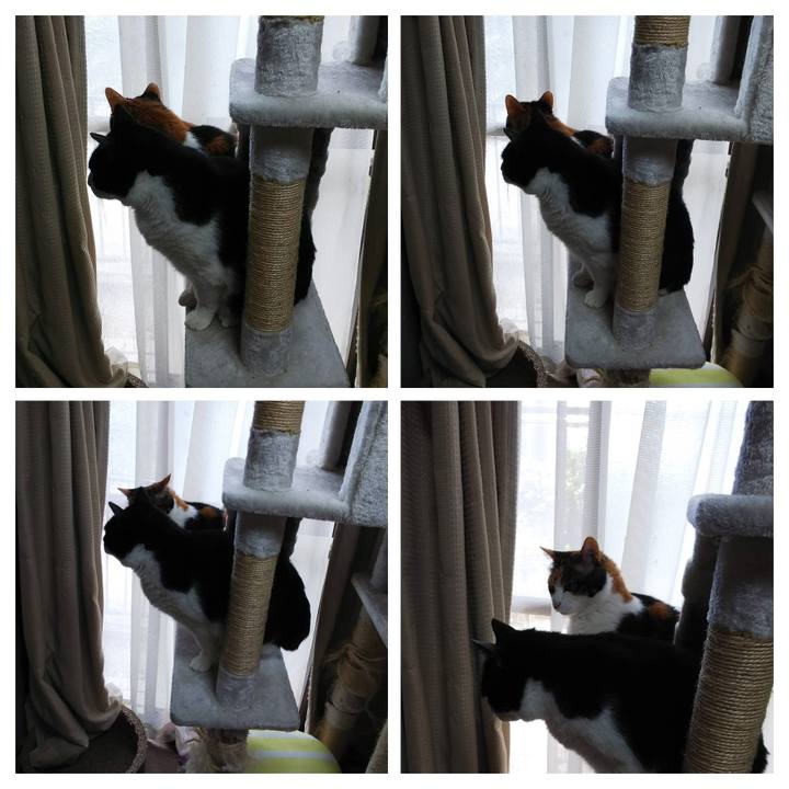 B7634921 cf5a 4b5d 8301 2162d6cdc69b 1551671309741