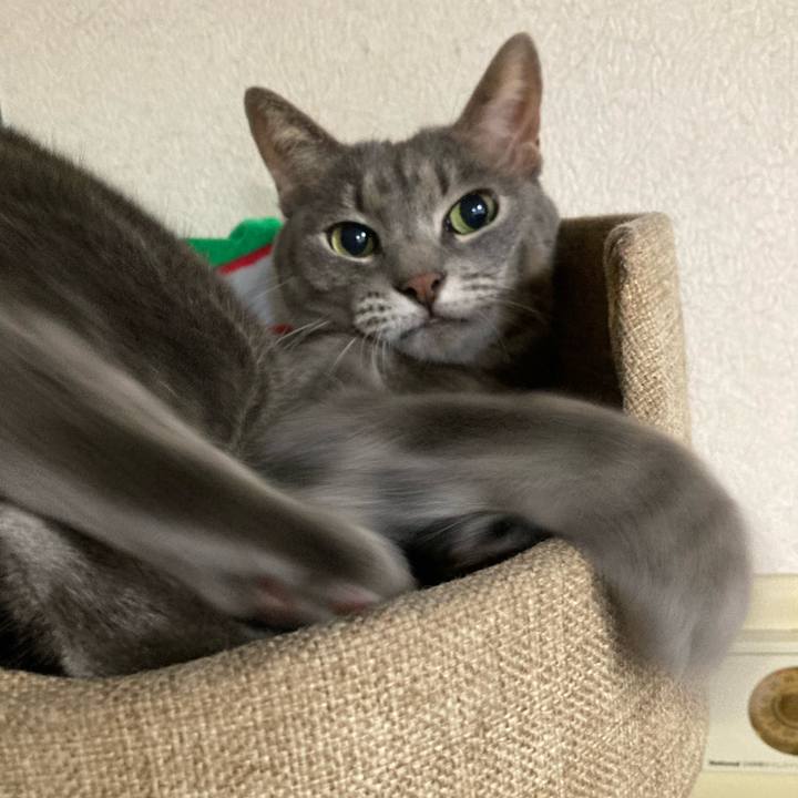 B7634e36 64cf 4d33 96f7 087ab81aea0e 1695484852856